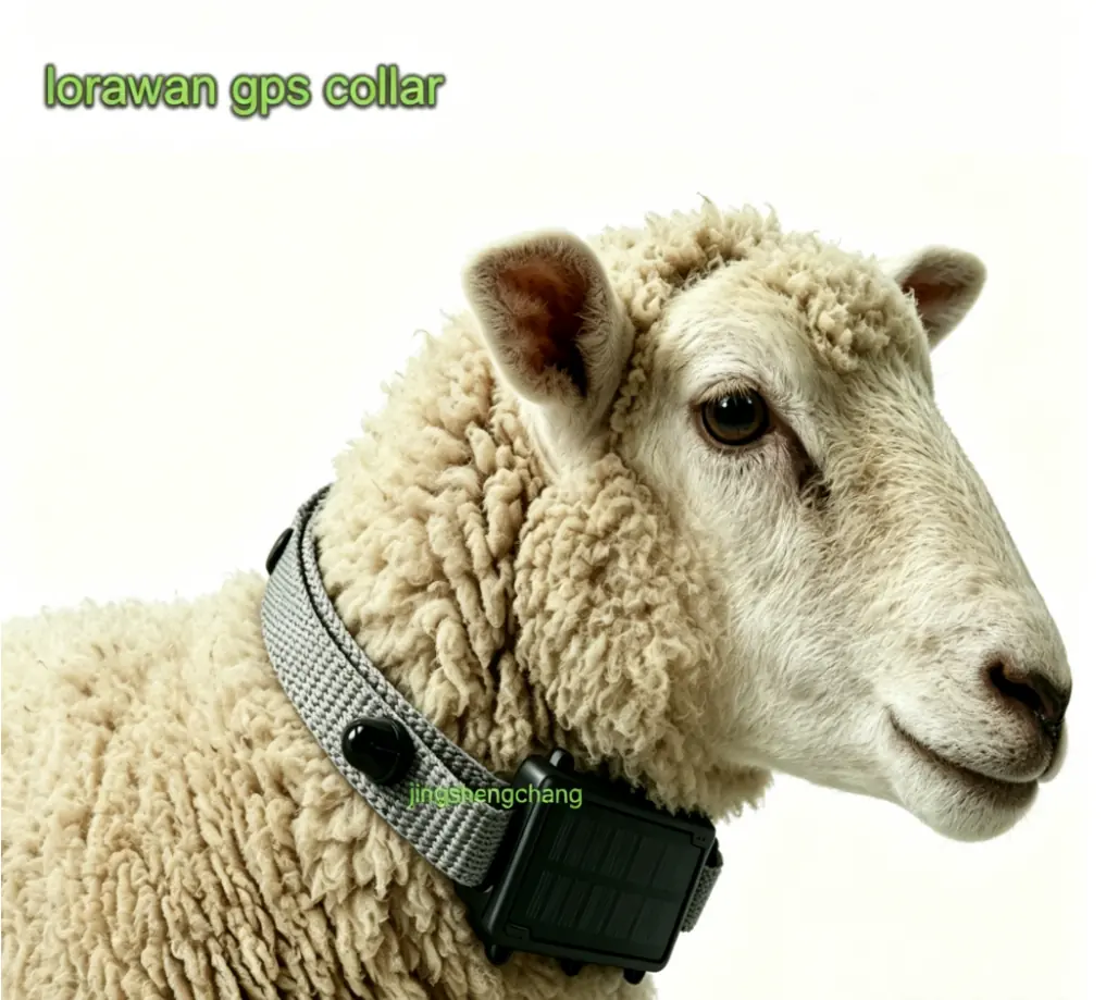 Cattle & Sheep GPS